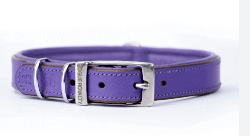 Best Customized Purple Leather Dog Collar Review in 2024