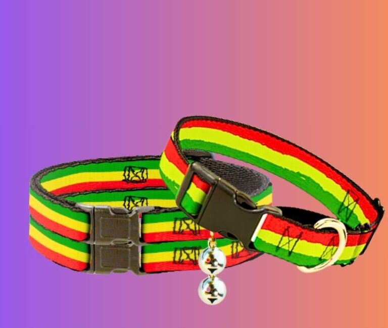 Best Bob Marley Rasta Dog Collar in 2024