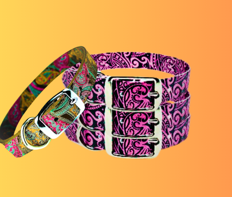 Omnipet Paisley Leather Dog Collar Review In 2024