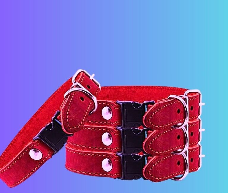 Best Quick Release Rolled Leather Dog Collar Review in 2024