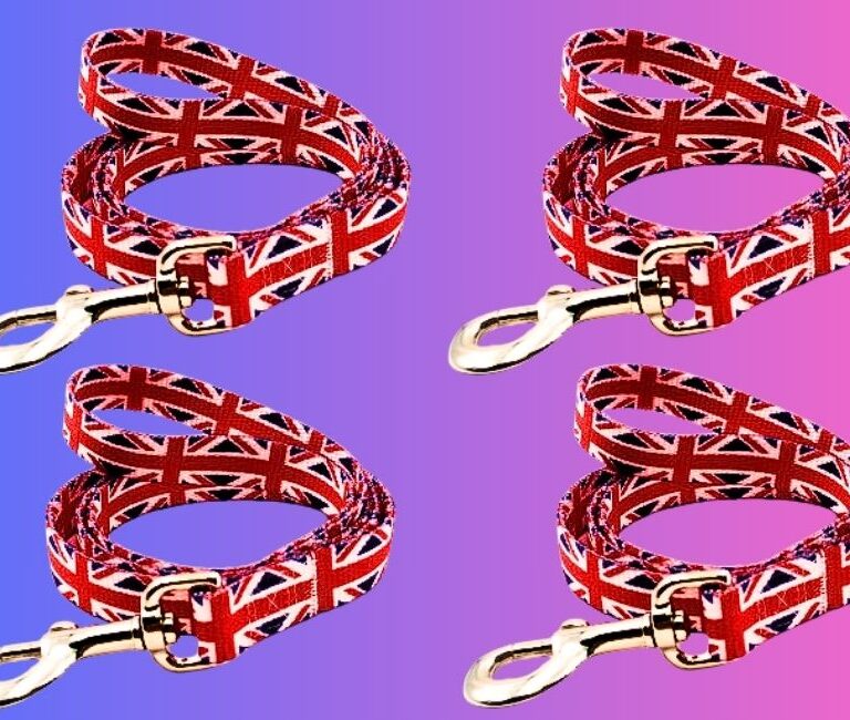  Best Rebel Flag Dog Collar and Leash in 2024