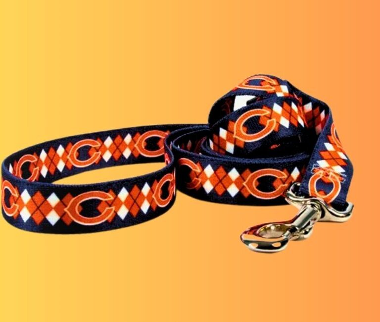 Best Chicago Bears Argyle Dog Collar In 2024