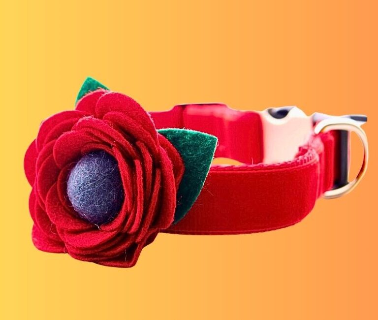 Best Dog collar with red poppy flowers In 2024