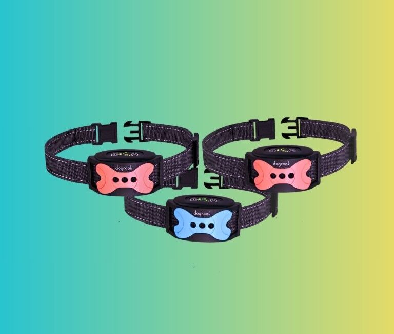 Best No-Shock Bark Collars For Large Dogs In 2024