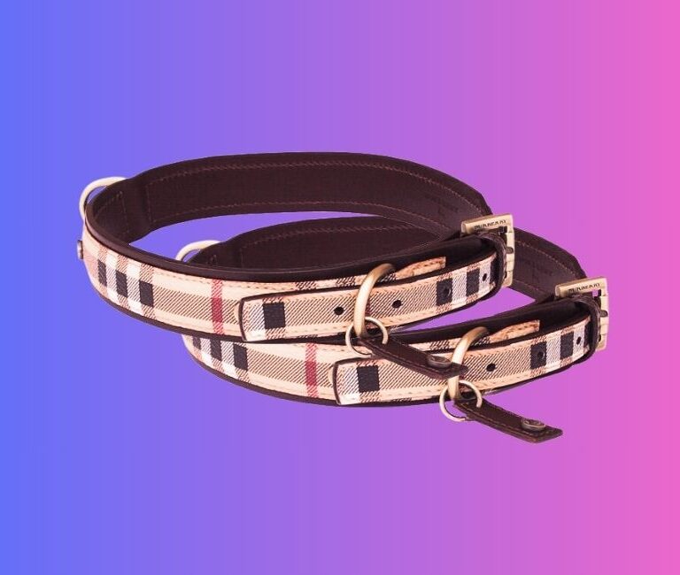 Burberry Collar for Dogs In 2024