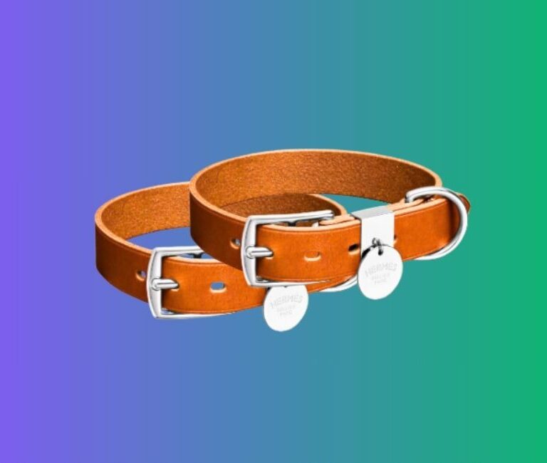 Leather Hermes Dog Collar