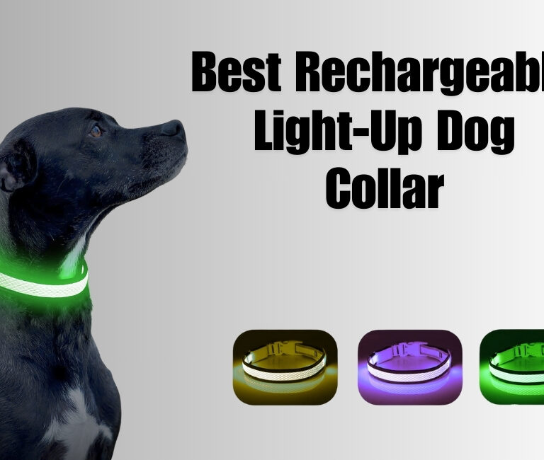 Best Rechargeable Light-Up Dog Collar Review in 2024